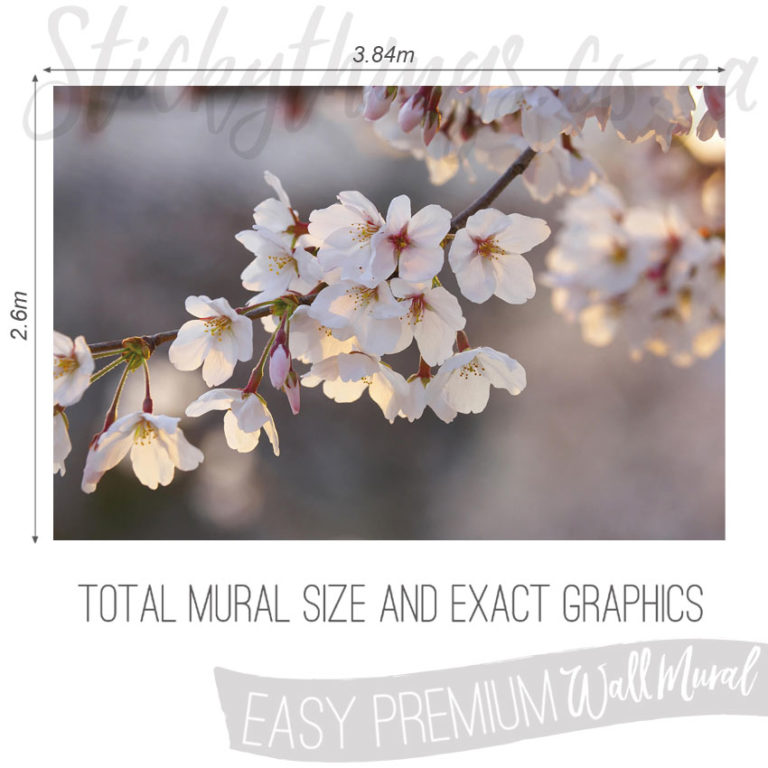 Size and Exact Graphics of Cherry Blossoms Photo Wallpaper Mural