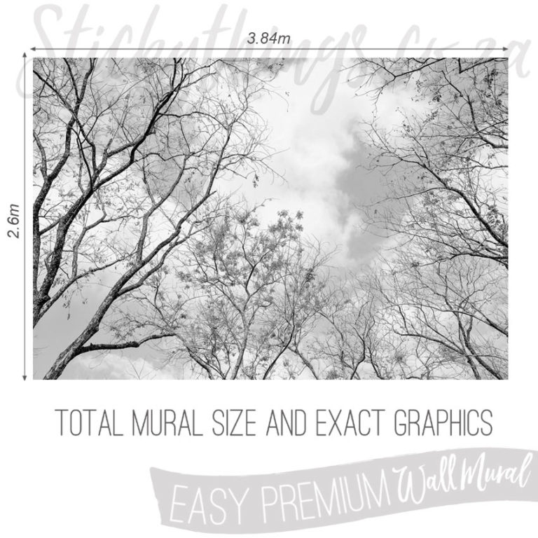 Size and Exact Graphics of Forest Skies Wallpaper Mural