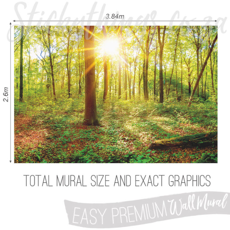 Size and Exact Graphics of Green Sunny Trees Wallpaper Mural
