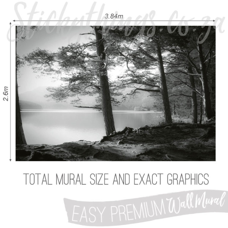 Sizer and Exact Graphics of Monochrome Forest Wallpaper Mural