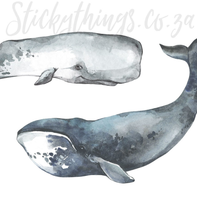 Small Whale Wall Decals up close