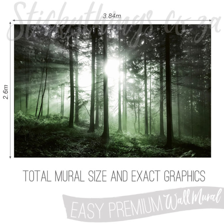 Size and Exact Graphics of Sun Silhouette Forest Wallpaper Mural