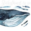 A close up of Watercolour Blue Whale Wall Stickers