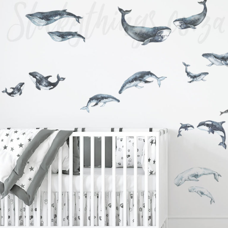 Watercolour Whales Vinyl on a nursery room wall