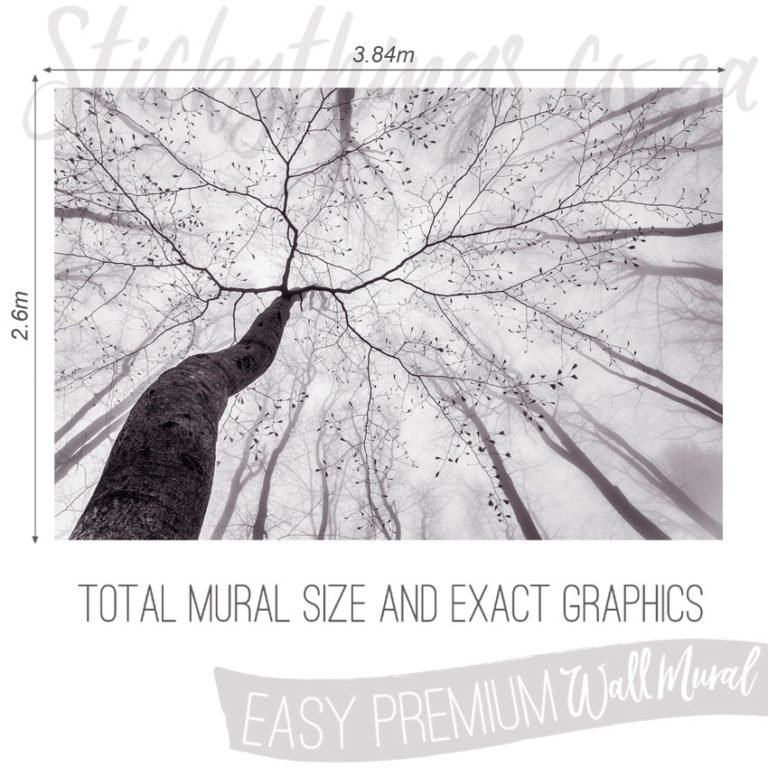 Size and Exact Graphics of Monochrome Forest Wallpaper Mural