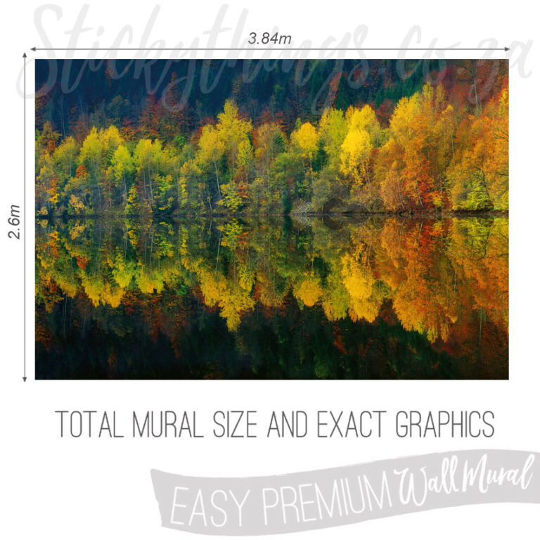Size and Exact Graphics of Lake and Trees Wallpaper Mural
