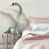 Soft White Swan Wall Mural on a bedroom wall
