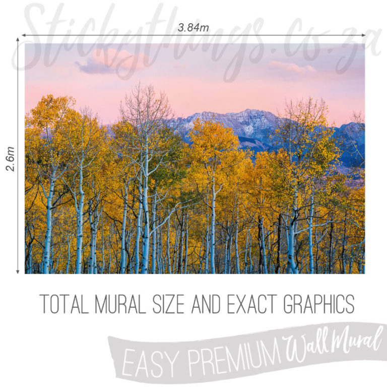 Size and Exact Graphics Of Tall Yellow Birchies Wallpaper Mural