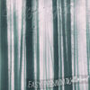A close up of Misty Trees Wall Mural