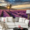 Provence Lavender Field Wall Mural on a living room wall