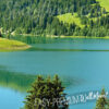 Swiss Mountain Lake Launensee Gstaad Wall Mural close up