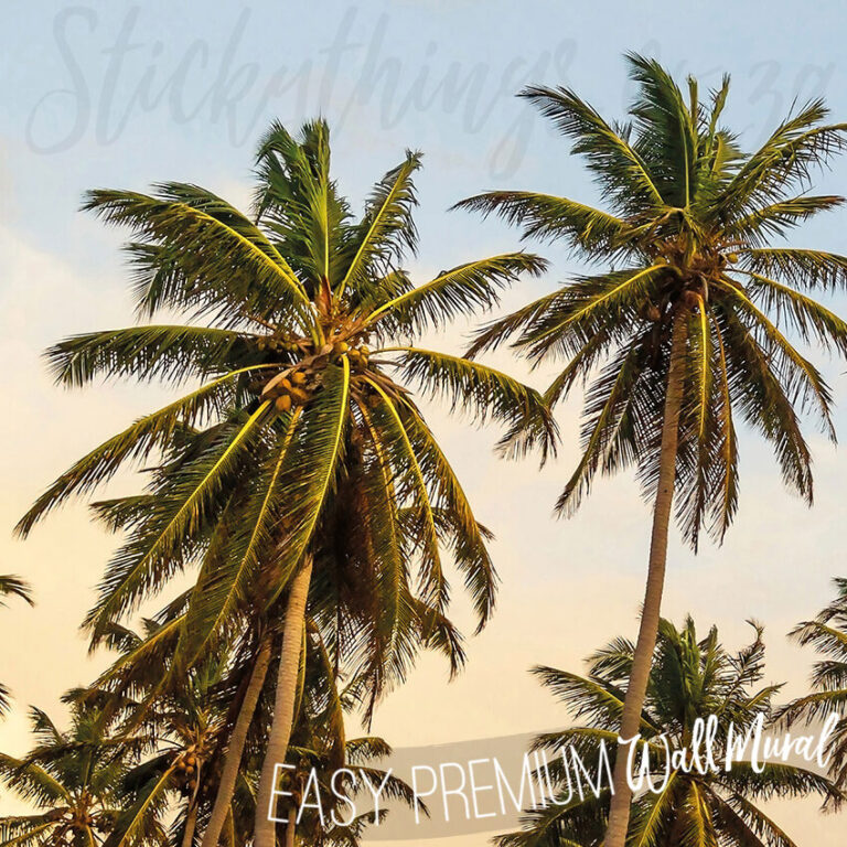A close up of Tropical Coconut Palms Wall Mural